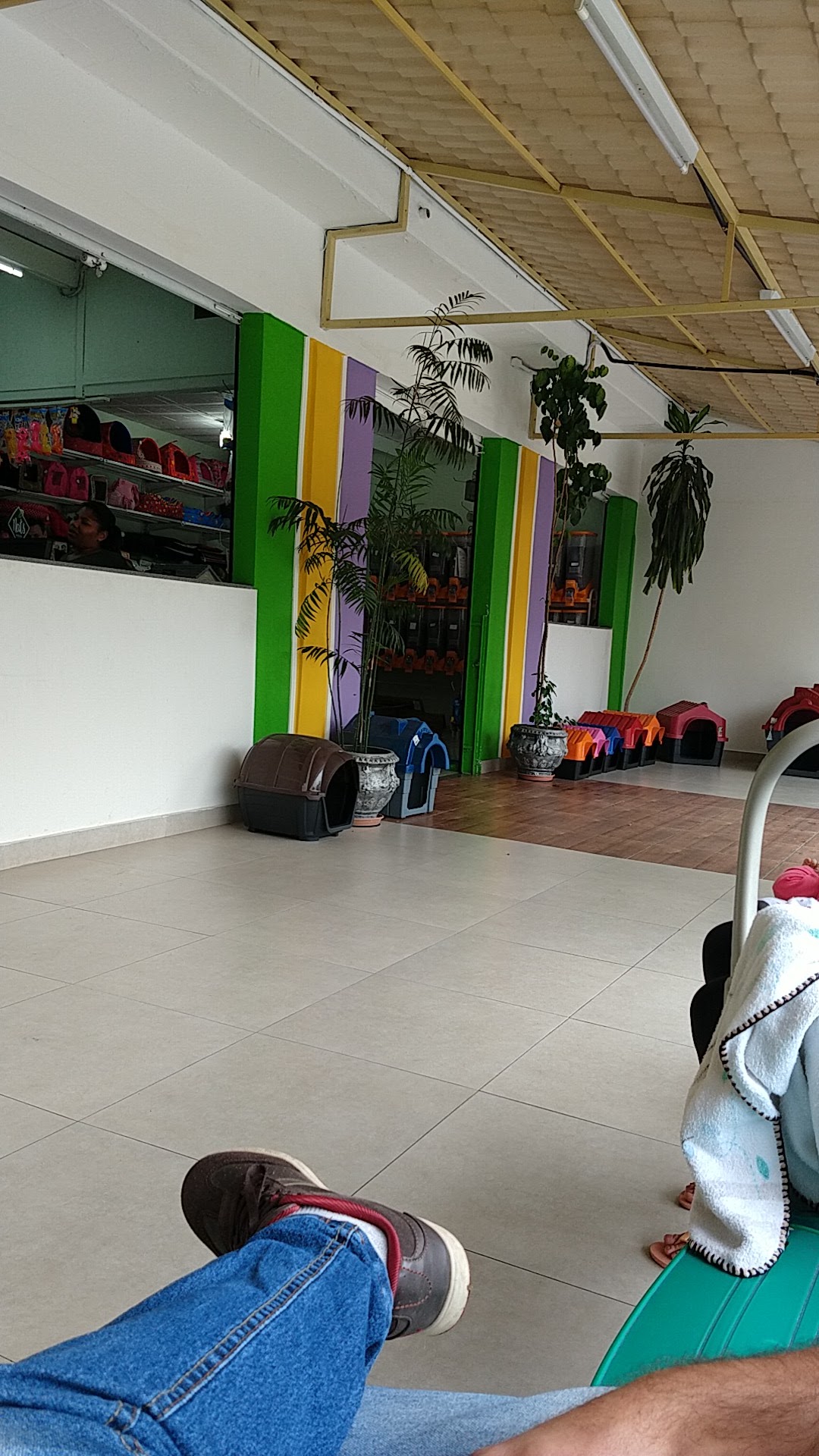 Interior da loja, com prateleiras de acessórios e casinhas enfileiradas